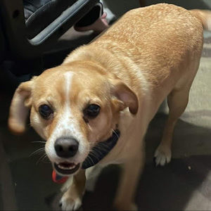 Meet your Posher, Jon